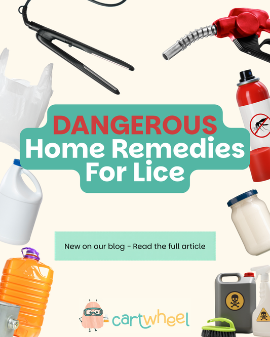 Dangerous Home Remedies for Lice